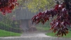 Мешканців Рівненщини попереджають про дощ і грозу