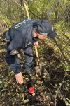 Курйоз: поліція на Тернопільщині перекопала город, бо пенсіонерка забула, де сховала 27 тисяч