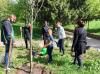 На Грабнику знову садили дерева (ФОТО)