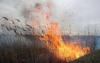 На Рівненщині за день рятувальники гасили 8 пожеж