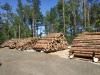 На Рівненщині за вирубаною деревиною слідкують онлайн  