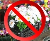 Не несіть на могили штучні квіти: мешканців Рівненщини просять дбати про навколишнє середовище