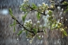 Синоптики розповіли, якою буде погода на Рівненщині 7 квітня