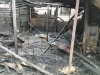 У пожежі на Рівненщині згоріла домашня птиця 