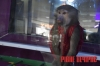 У розважальному центрі в Сарнах є жива мавпа (ФОТО/ВІДЕО)
