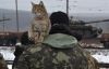 У військовій частині Рівного прокоментували відео, де військовик гасить цигарку об кота