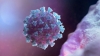 Весняний і осінній коронавірус: який небезпечніший