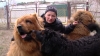 Втікала з Київщини від війни на Рівненщину з собаками