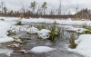 Ймовірно, втопився: рятувальники шукали на болоті біля Дубна чоловіка 