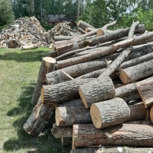 Як шахрай на Рівненщині «продавав дрова»
