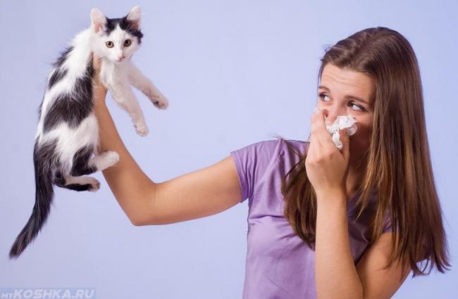 Алергія на котика