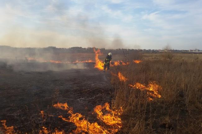 Дві нові пожежі в екосистемах області – на Великдень