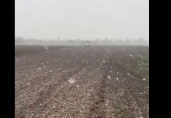 У селі на Рівненщині падав сильний сніг (ВІДЕО)
