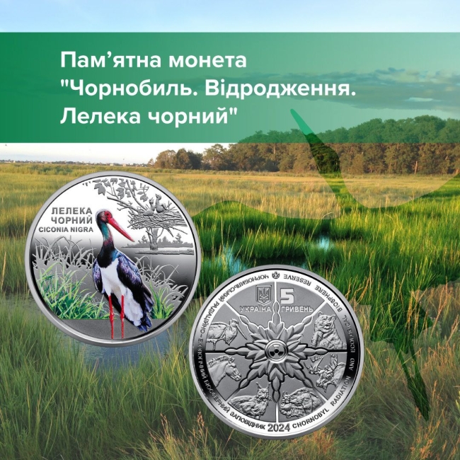 В Україні ввели в обіг монету «Чорнобиль. Відродження. Лелека чорний»