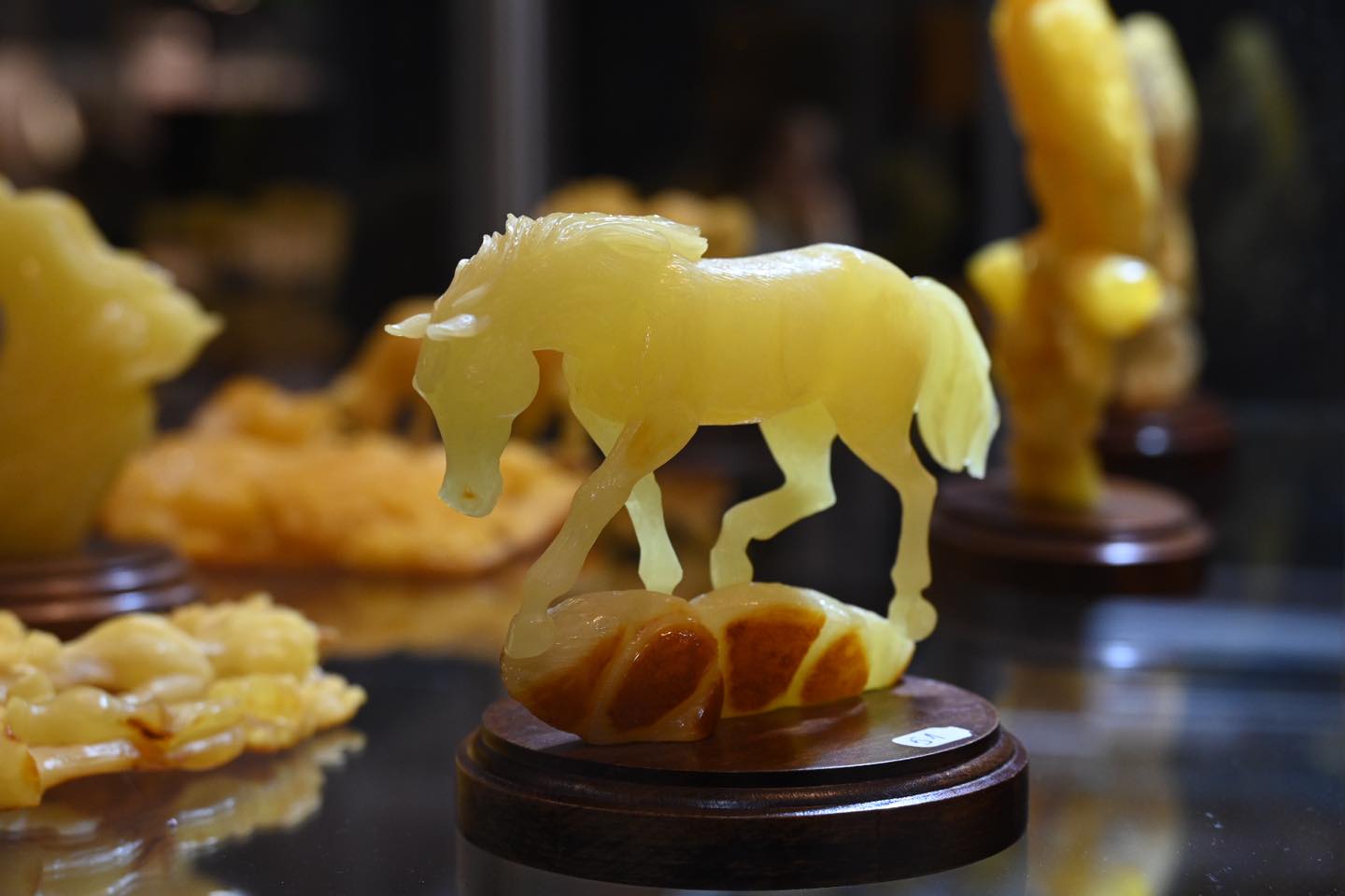 фото:Амбер Гальбін