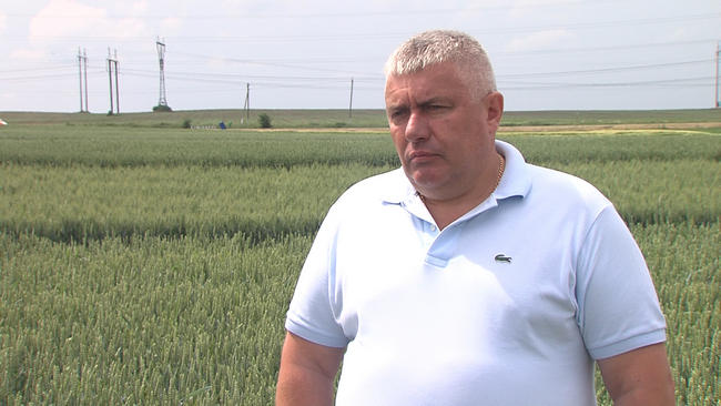 Петро Лабазюк, Генеральний директор Групи компаній «VITAGRO»