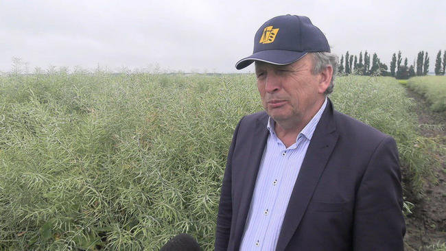 Зиновій Максимишин