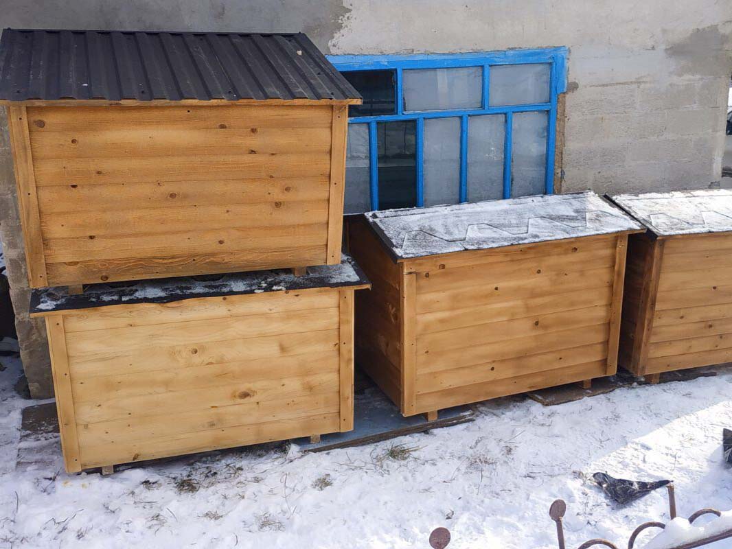 Притулок «Вірні друзі»