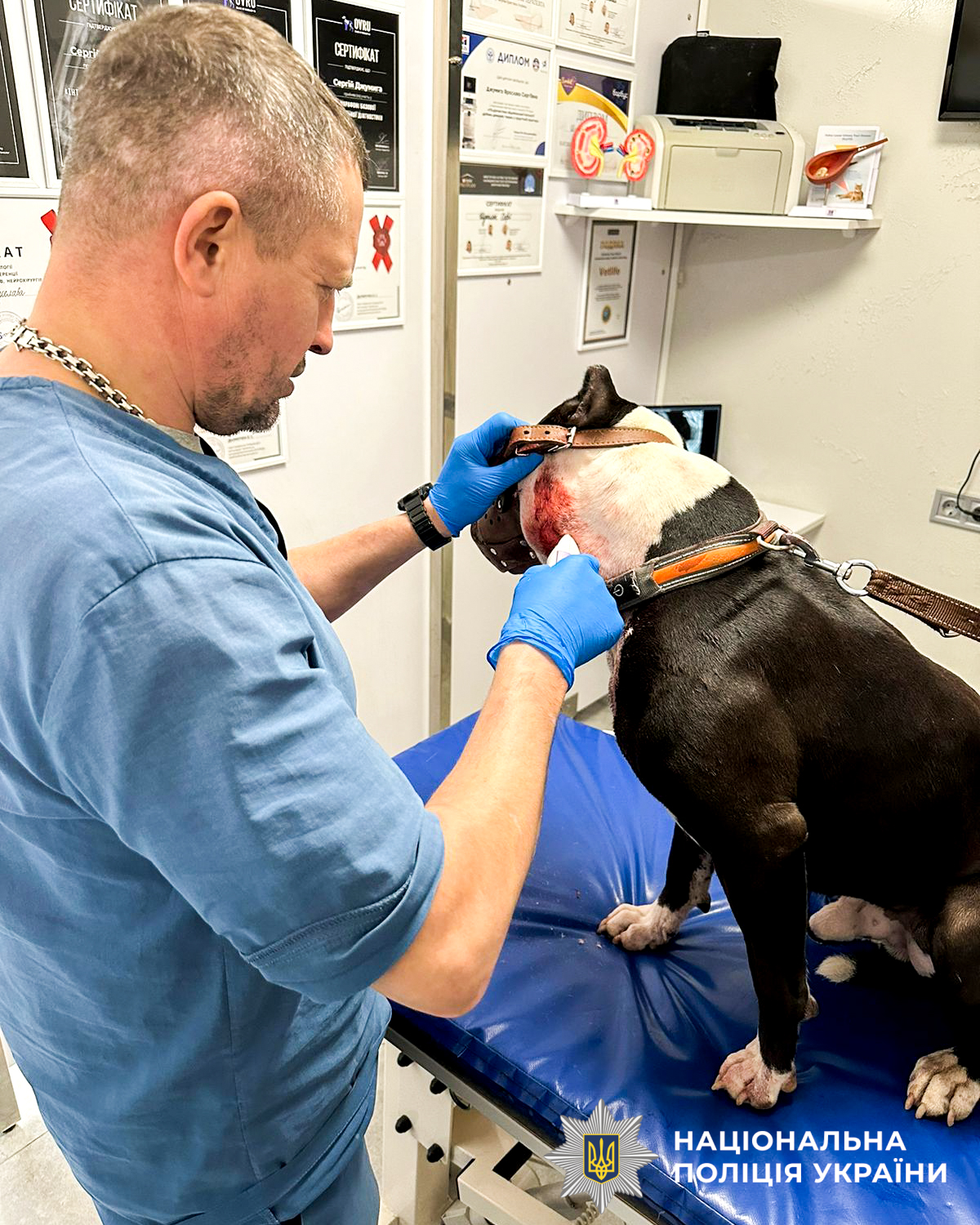 На Рівненщині водій таксі порізав ножем клієнта і його собаку