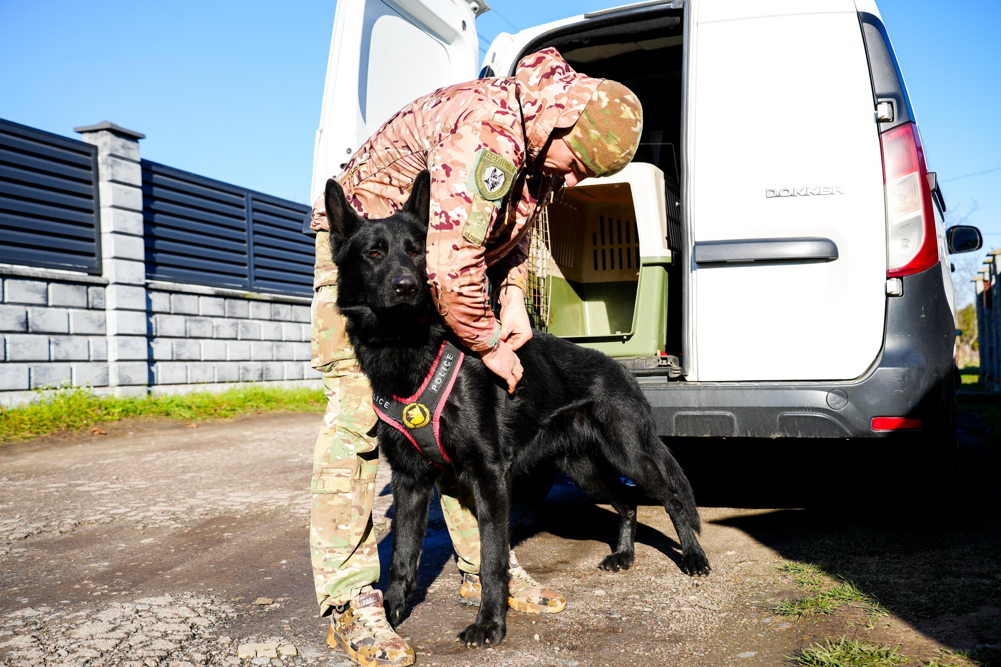 Житель Березнівщини на замовлення Росії спалив волонтерський позашляховик