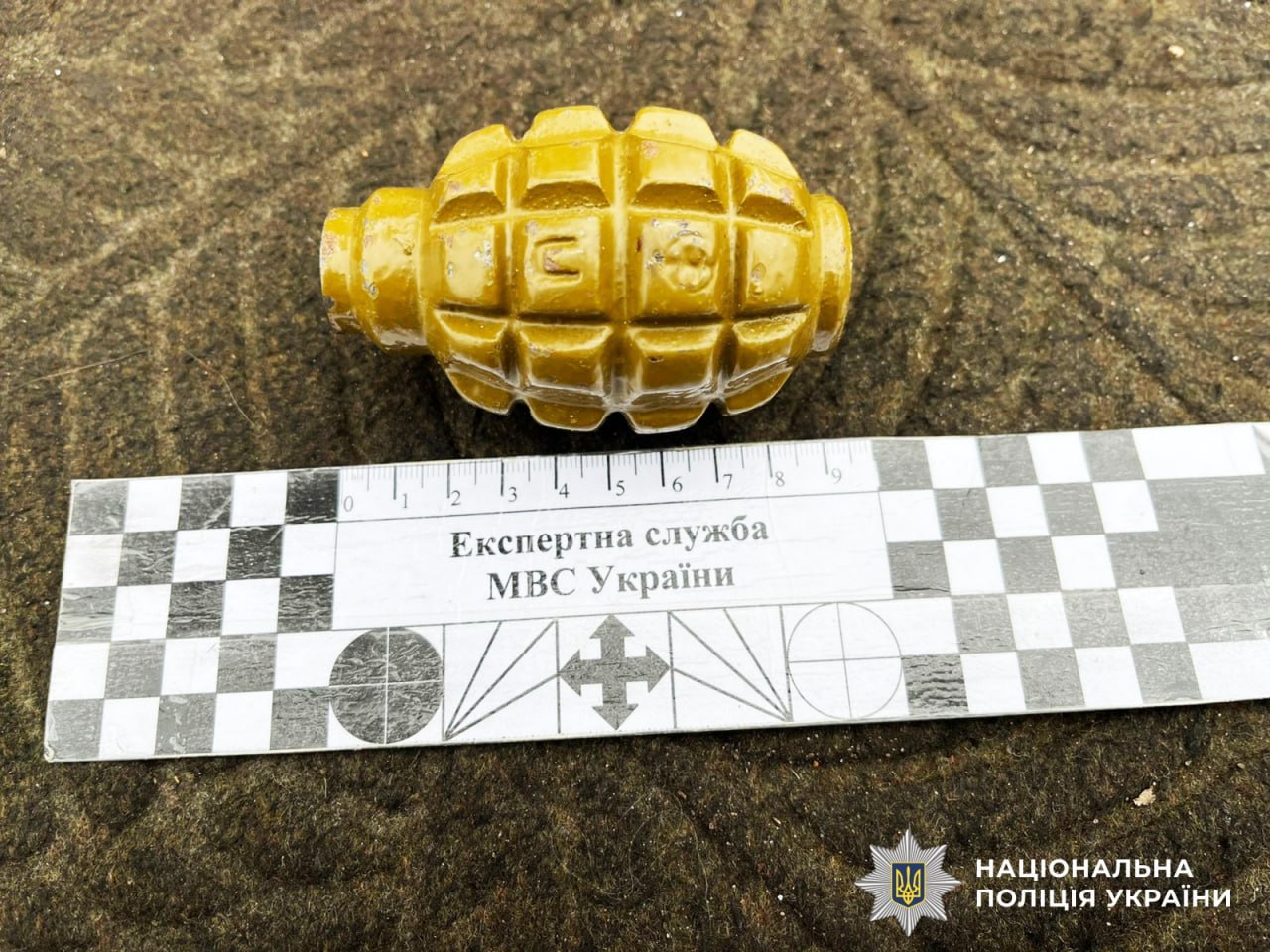 У жителя Полісся забрали набір гранат