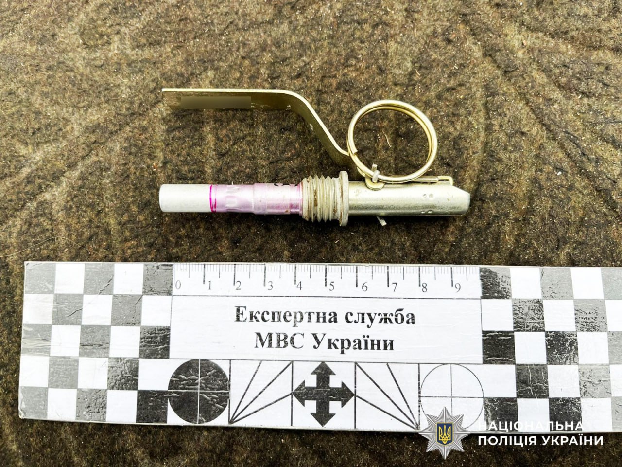 У жителя Полісся забрали набір гранат