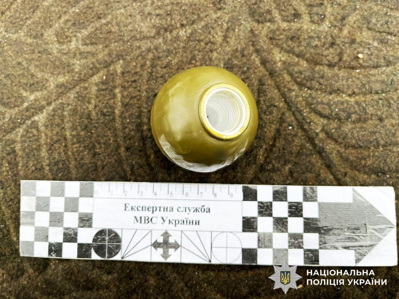 У жителя Полісся забрали набір гранат