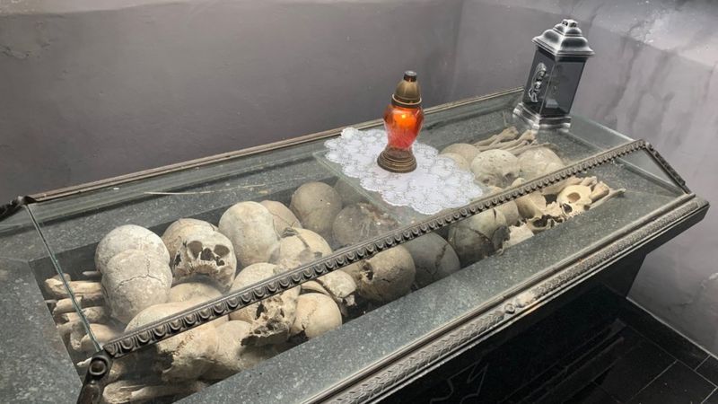 Саркофаг з останками, знайденими неподалік козацької переправи біля річки Пляшівка, фото Олексій Бухало