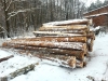 25 кіло бурштину та багато деревини - на Рівненщині обшукали трьох селян