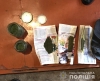 62 кущі коноплі та канабіс - у жителя Рівненщини вилучили наркотиків на 300 тисяч гривень