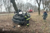 Біля Радивилова автомобіль розбився об дерево