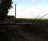 Через сильний вітер два села на Рівненщині залишилися без «електрики»