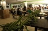 Дизайн, як у кафе: показали шкільну їдальню у Рівному після ремонту (ФОТО)
