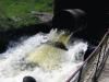 Екологи наклали штраф на водоканал на Рівненщині, бо забруднює Случ