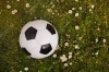 Дворові футбольні команди розіграють у Рівному «Кубок вулиць-2021»