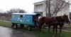 На Рівненщині карета з кіньми возить дітей у садок