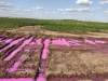 Хімікати рожевого кольору вилили біля соєвого поля поблизу Рівного (ФОТО)