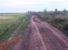 Хлопчик на Володимиреччині загинув, коли допомагав везти картоплю з поля