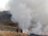 Майже дві години рятувальники гасили величезну пожежу біля села на Радивилівщині