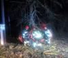 Мертвого водія вирізали з автомобіля, що розбився об дерево (ФОТО)