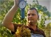 Мешканець Полісся виростив понад 70 сортів винограду 