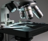 Микроскопы: какие бывают и для чего нужны?