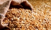 Міністр агрополітики озвучив свої ціни на зерно