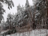 Мокрий сніг залишив мешканців Полісся без «світла»