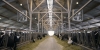 Молочний виробник планує розширити свій бізнес на Рівненщину