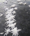 Морозне диво: на Усті в Рівному з`явилися крижані кристали