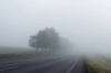 На дорогах Рівненщини погана видимість через туман