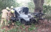 На Дубенщині легковик влетів у дерево: водій та пасажирка загинули