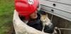 На Дубенщині рятувальник ризикував життям, щоб врятувати кота (ФОТО)