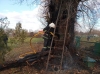 На Острожчині на відкритій території спалахнуло дерево